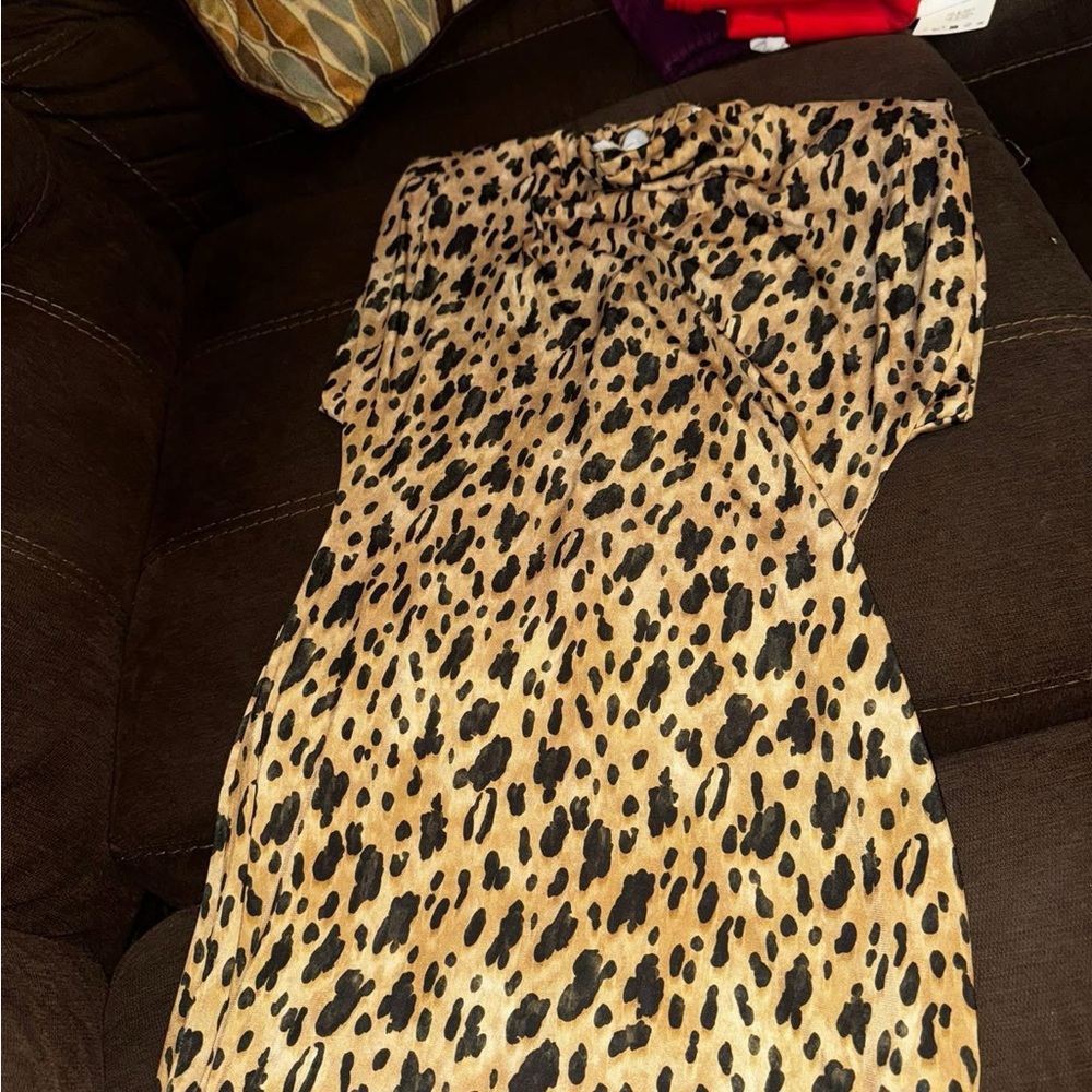 Zara Animal Print Dress.